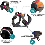 Close up of front leash attachment on Embark harness
