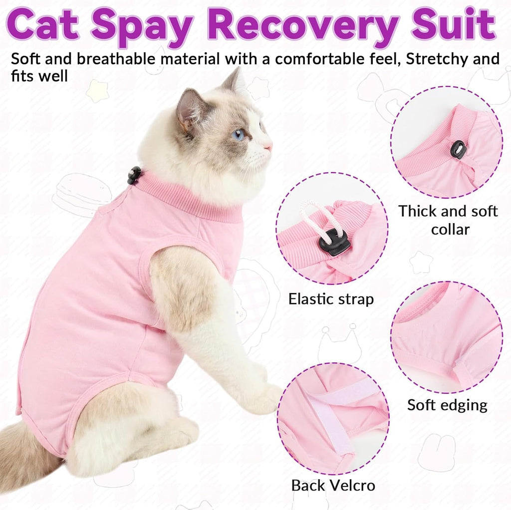 Side profile of female cat in blue surgical recovery suit