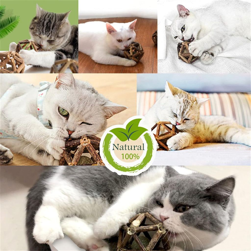 Two piece natural catnip and bell ball set
