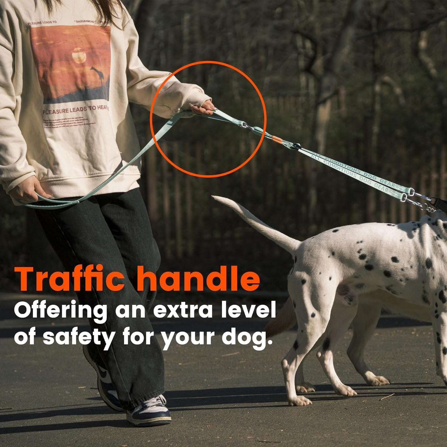 Complete packaging view of the imported HOWGO double dog leash standard black variant.