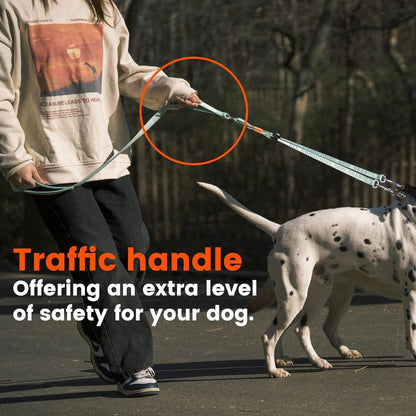 Complete packaging view of the imported HOWGO double dog leash standard black variant.