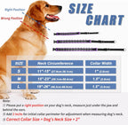 Monstoyo purple martingale dog collar soft neoprene padding detail