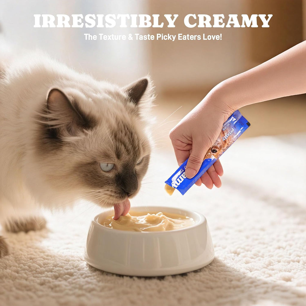 Cat enjoying a Petasty hydrating salmon puree treat