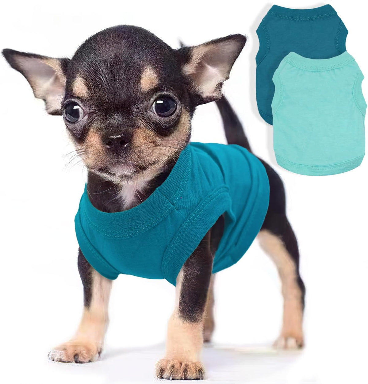 Uswalnna two pieces dog clothes front view showcasing cyan summer puppy shirt.