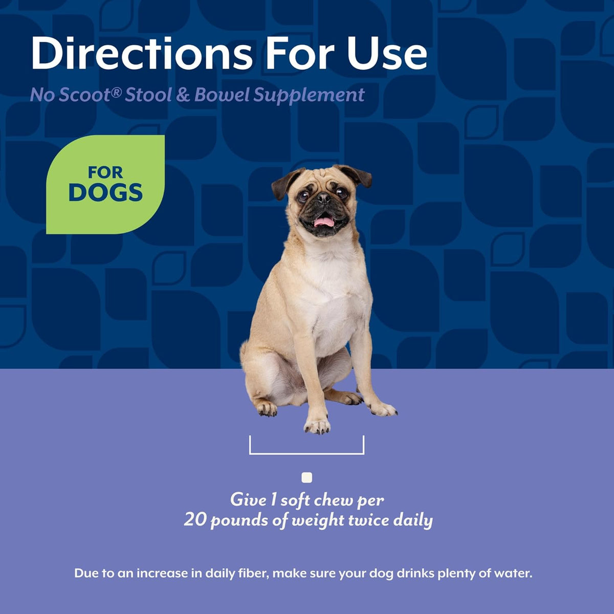 NaturVet No Scoot for Dogs daily dosage guide