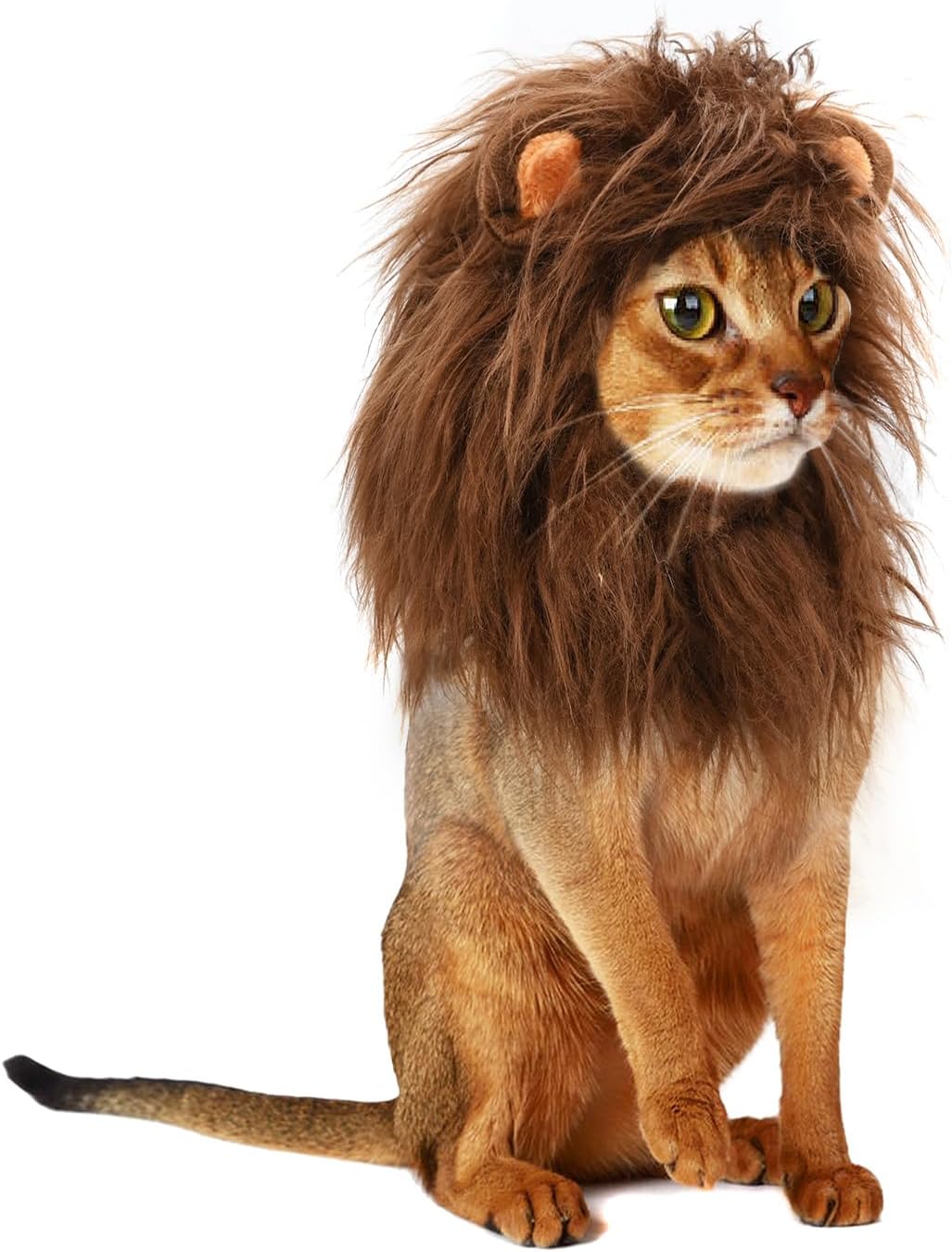 Onmygogo Lion Mane Wig for Cats and Dogs, Funny Pet Cat Costumes for Halloween Christmas, Furry Pet Clothing Accessories - Image 9