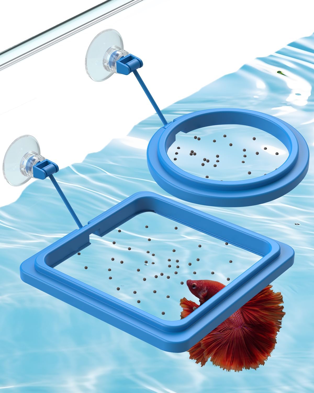 Pawfly floating circle feeder ring for turtle and guppy food