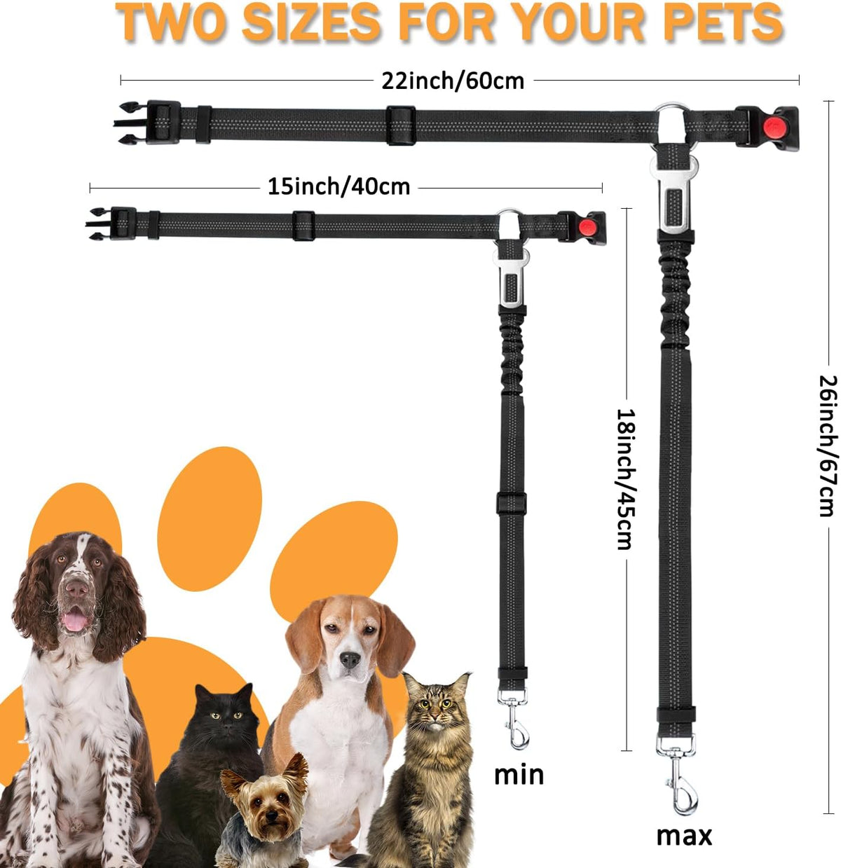 Dvedo pet seatbelt attached to car headrest