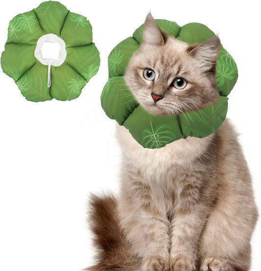 QIYADIN cat soft cone collar front view authentic pet recovery cone