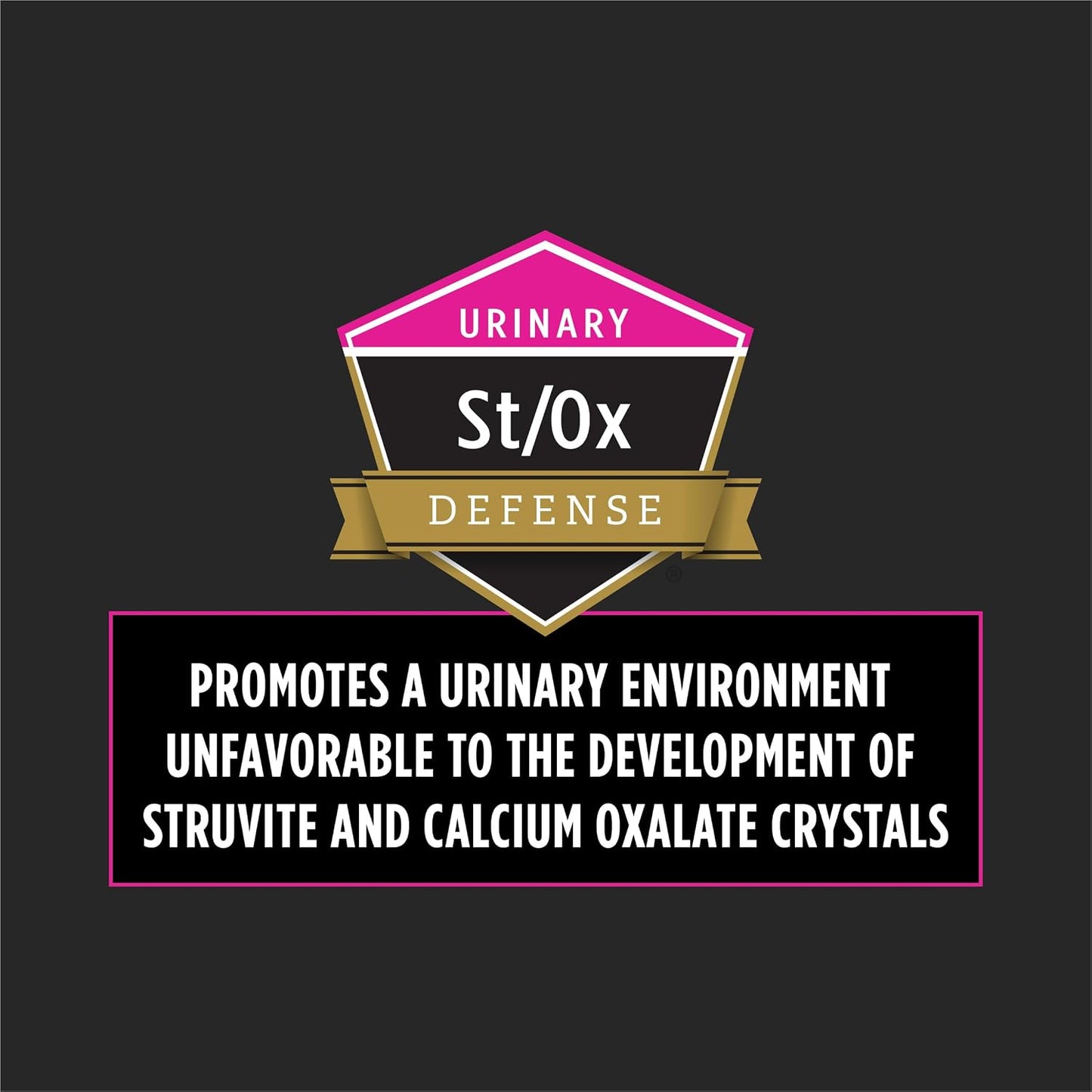 Premium Purina Pro Plan UR feline dry cat food for struvite stone dissolution