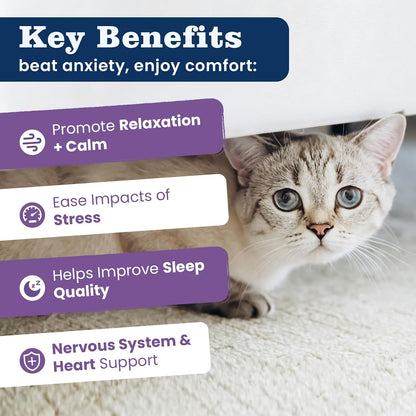 PLBKCTS Weallin calming crunchy creamy chews for cats close up visual.