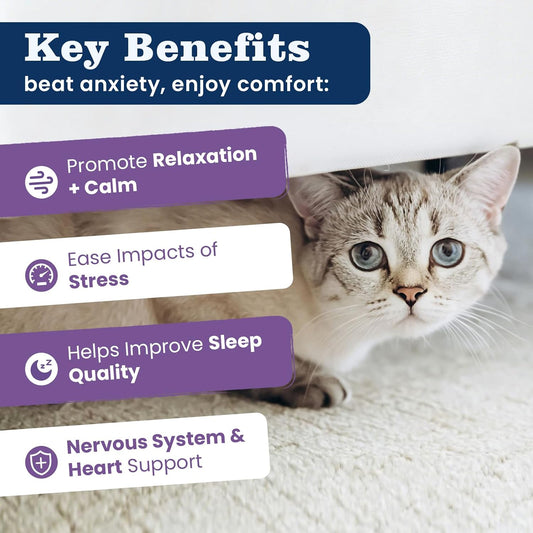 PLBKCTS Weallin calming crunchy creamy chews for cats close up visual.