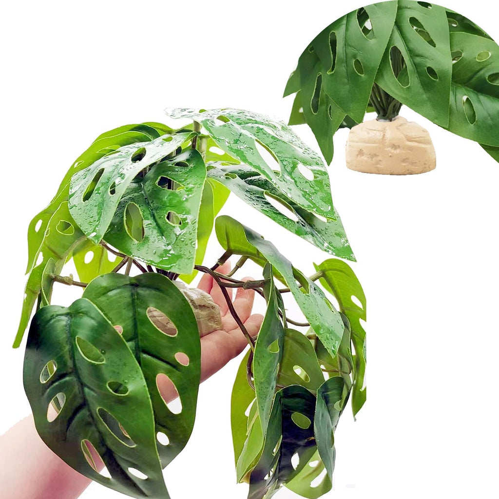 Keruideng Monstera terrarium accessory top view