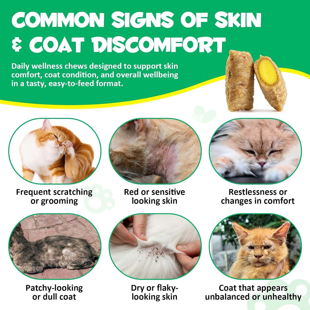 Oimmal 100 gram package for cat digestive balance and skin barrier health