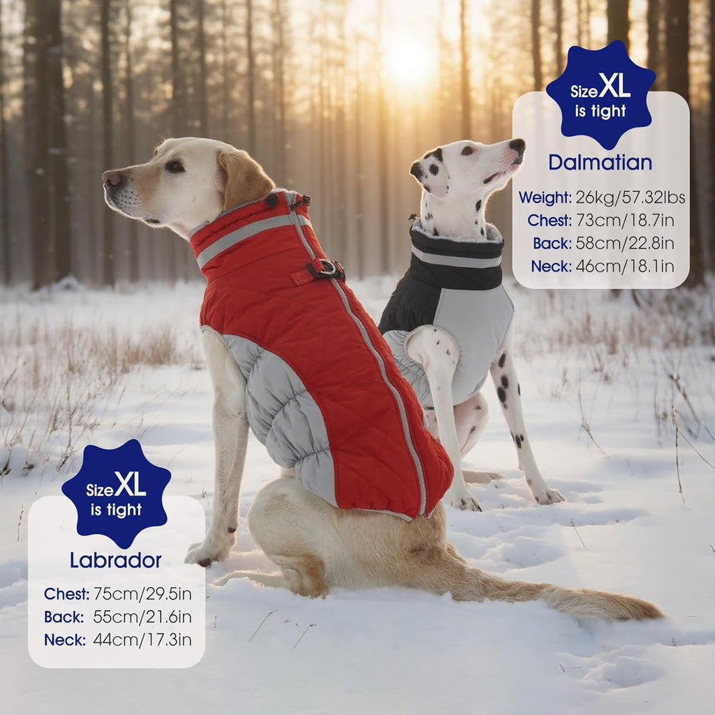Close up of built in harness D-rings on dog jacket