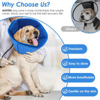 Premium imported AOFITEE soft canine cone side view