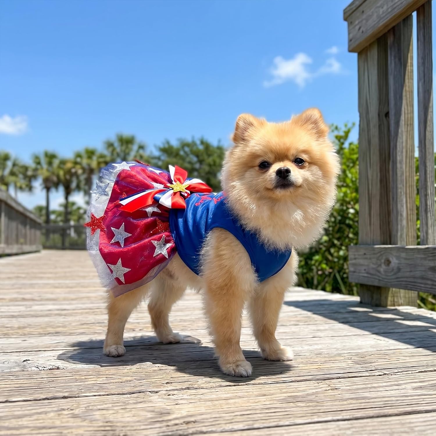 Hying independence day dog clothing stretchable summer fabric texture close up.