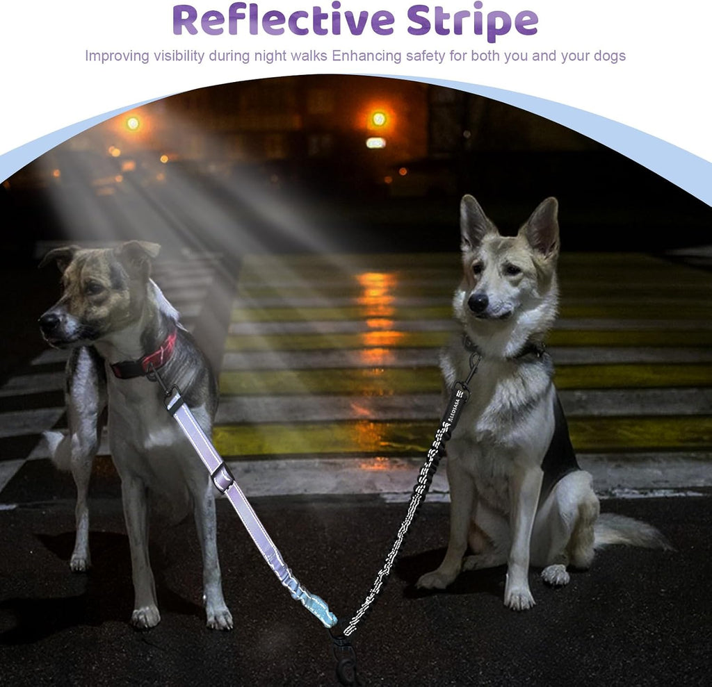 Adjustable gradient color dual dog walking extension showing reflective stitching