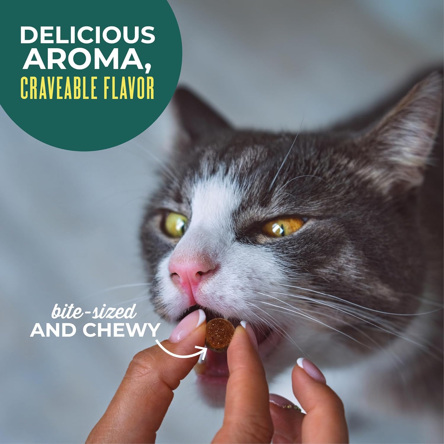 Side view of Tiki Cat tuna flavor soft treats pouch