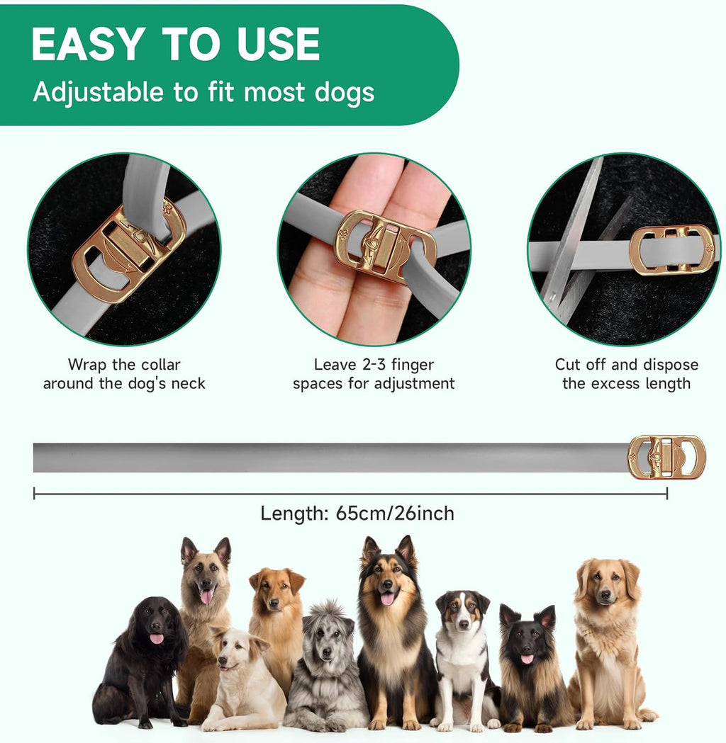 Dog wearing grey flea and tick prevention collar