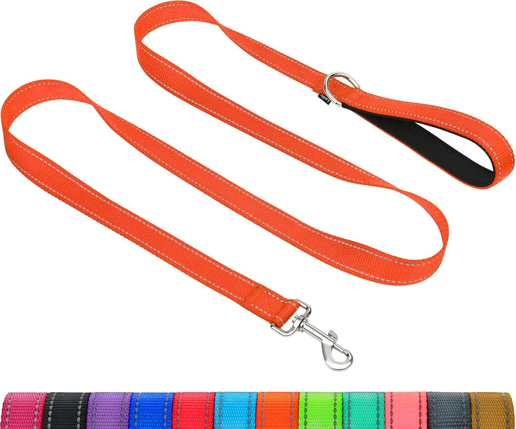 Taglory Dog Leash for Small Dogs, Double-Sided Reflective for Night Walking, Neoprene Padded Handle, 3/4 inch by 6 ft, Lightweight for Small Medium Breeds up to 30 lbs, Black - Image 11