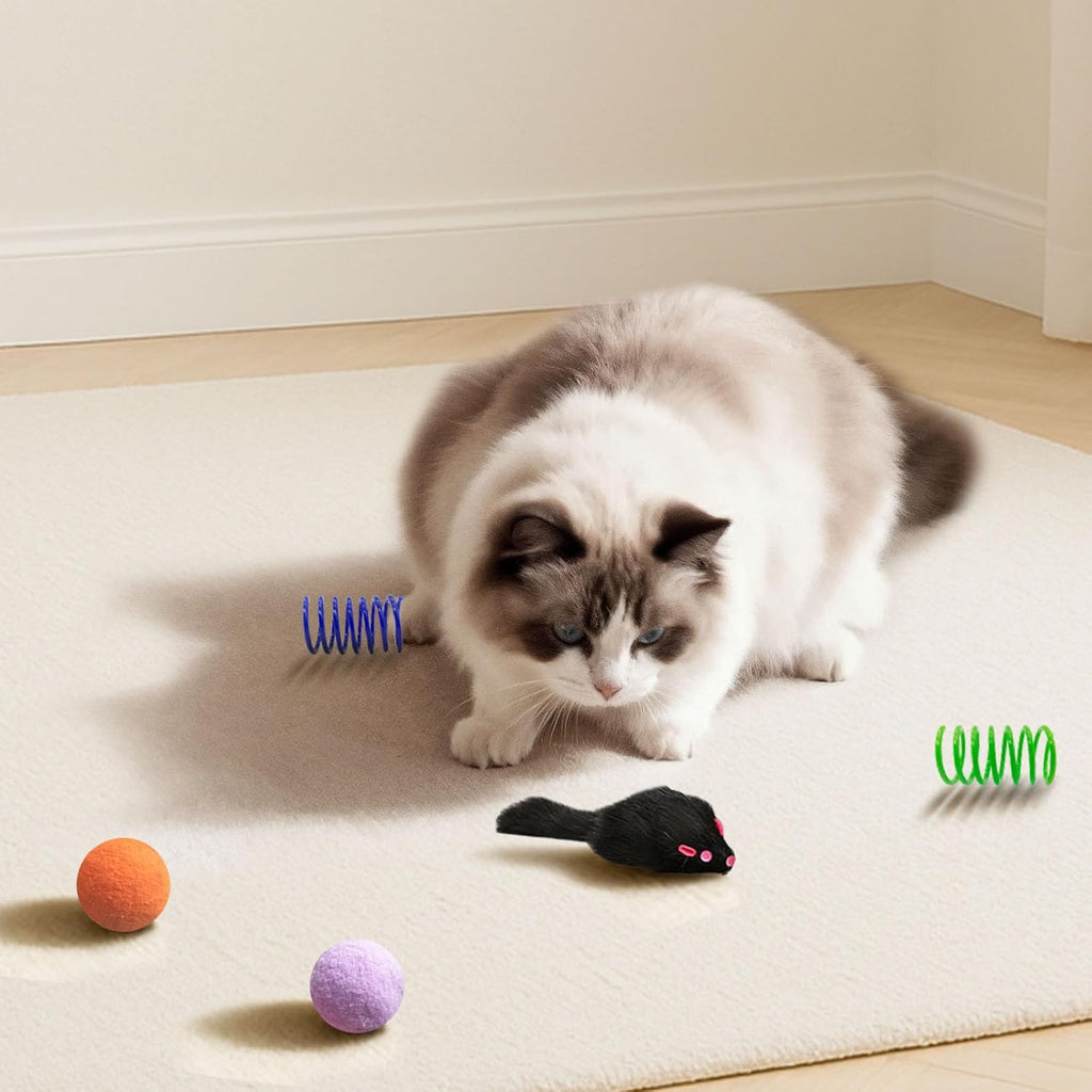 Assorted interactive plastic springs for chasing and active feline exercise.