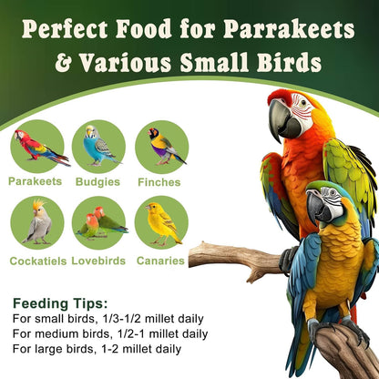 Healthy natural bird supplement for budgies and finches
