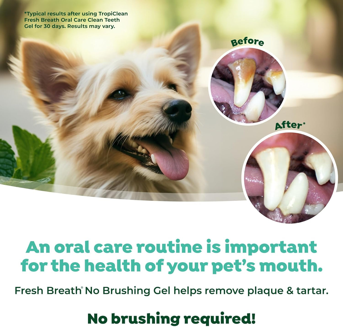 Back view of Tropiclean puppy dental gel showing usage instructions