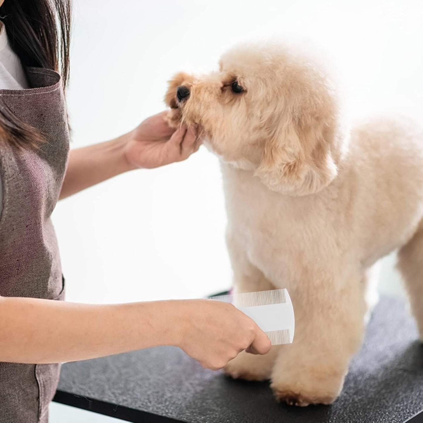 Fine tooth detail for nit and tick removal on pet comb