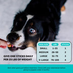 Dog chewing on Pet Honesty hemp dental stick