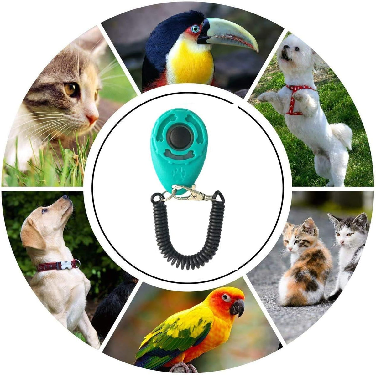 VOBRAMY behavioral training clicker pack being worn on a wrist for hands free puppy training.