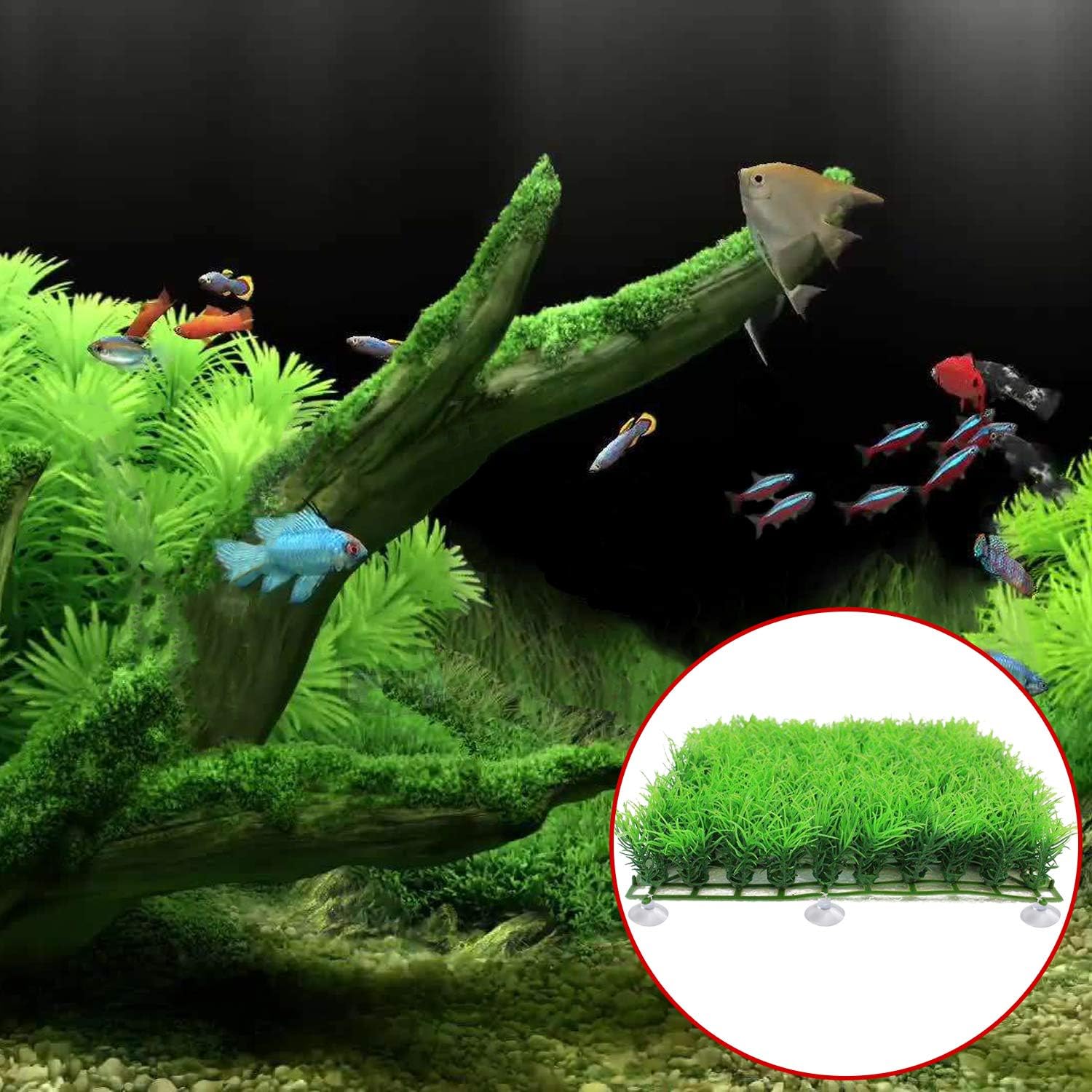 FEBSNOW aquarium suction cup kit close up displaying flexible deformation resistant material.