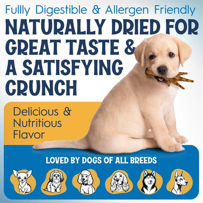 Fetcheroni joint health support pet chews showing full fifty pack box details