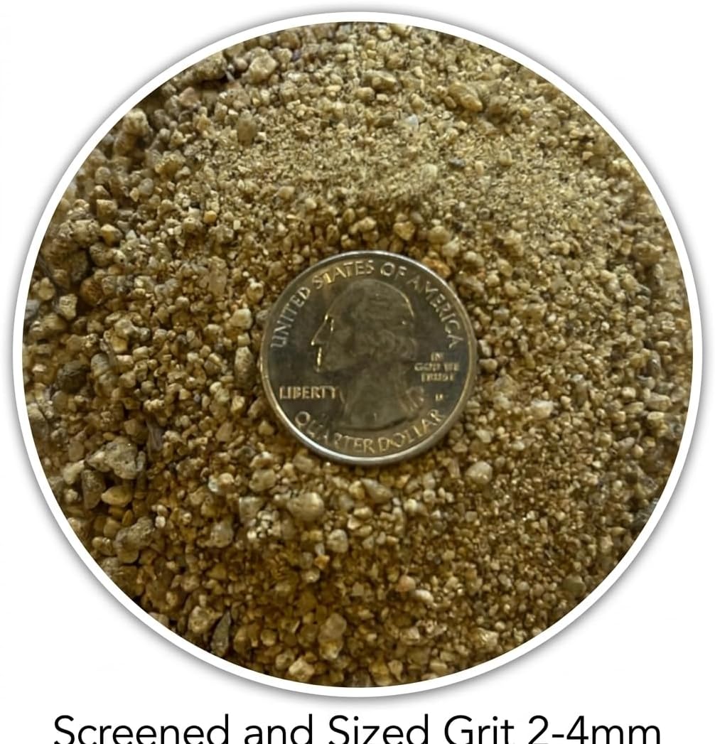 Washed sand top dressing on a cactus container