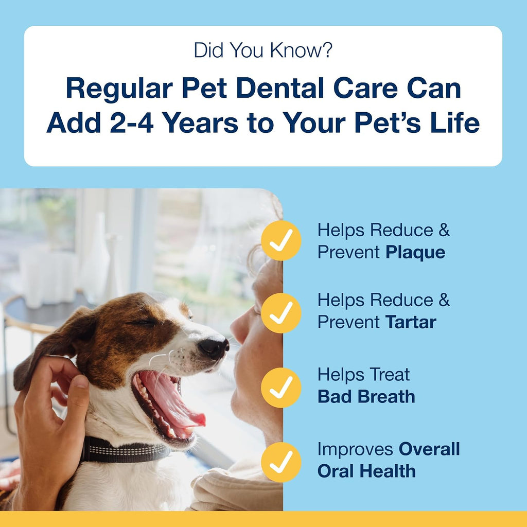 Small dog eating ProDen PlaqueOff bacon dental bites