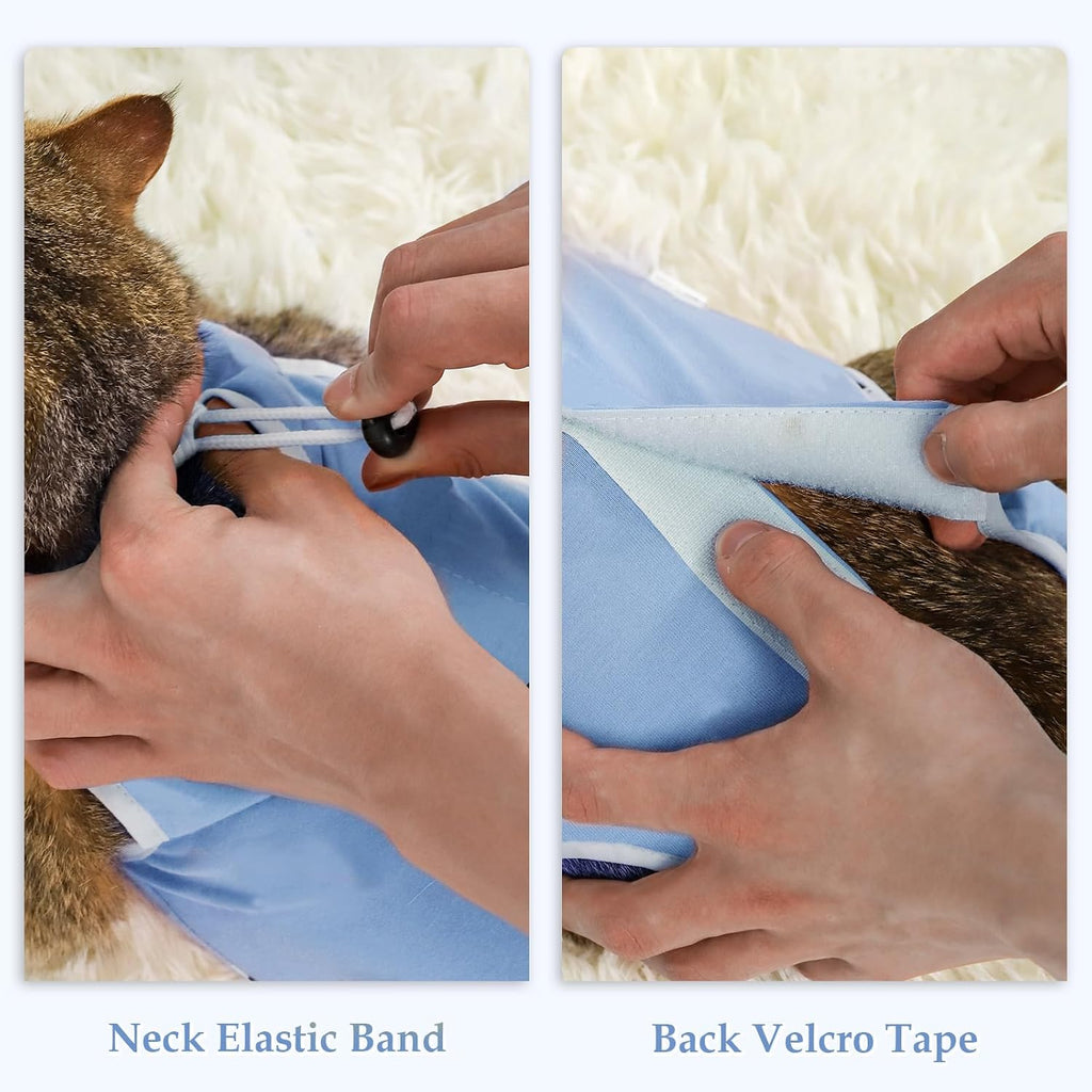 ANWA post surgery cat body suit showing adjustable elastic neck band
