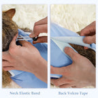 ANWA post surgery cat body suit showing adjustable elastic neck band