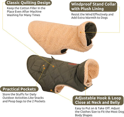 Back view of Queenmore quilted dog jacket with storage pockets