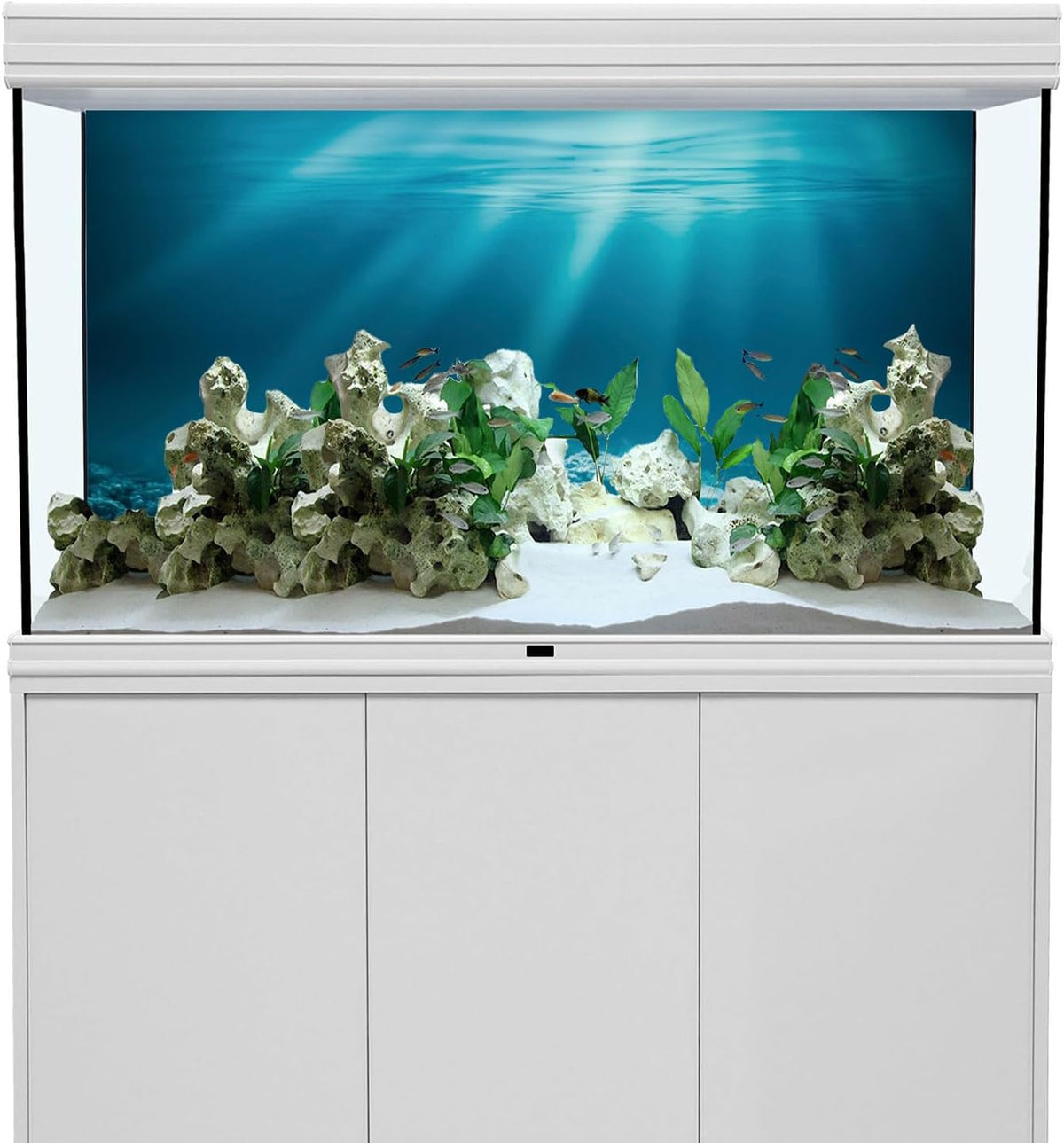 Awert Undersea Theme Aquarium Background front view