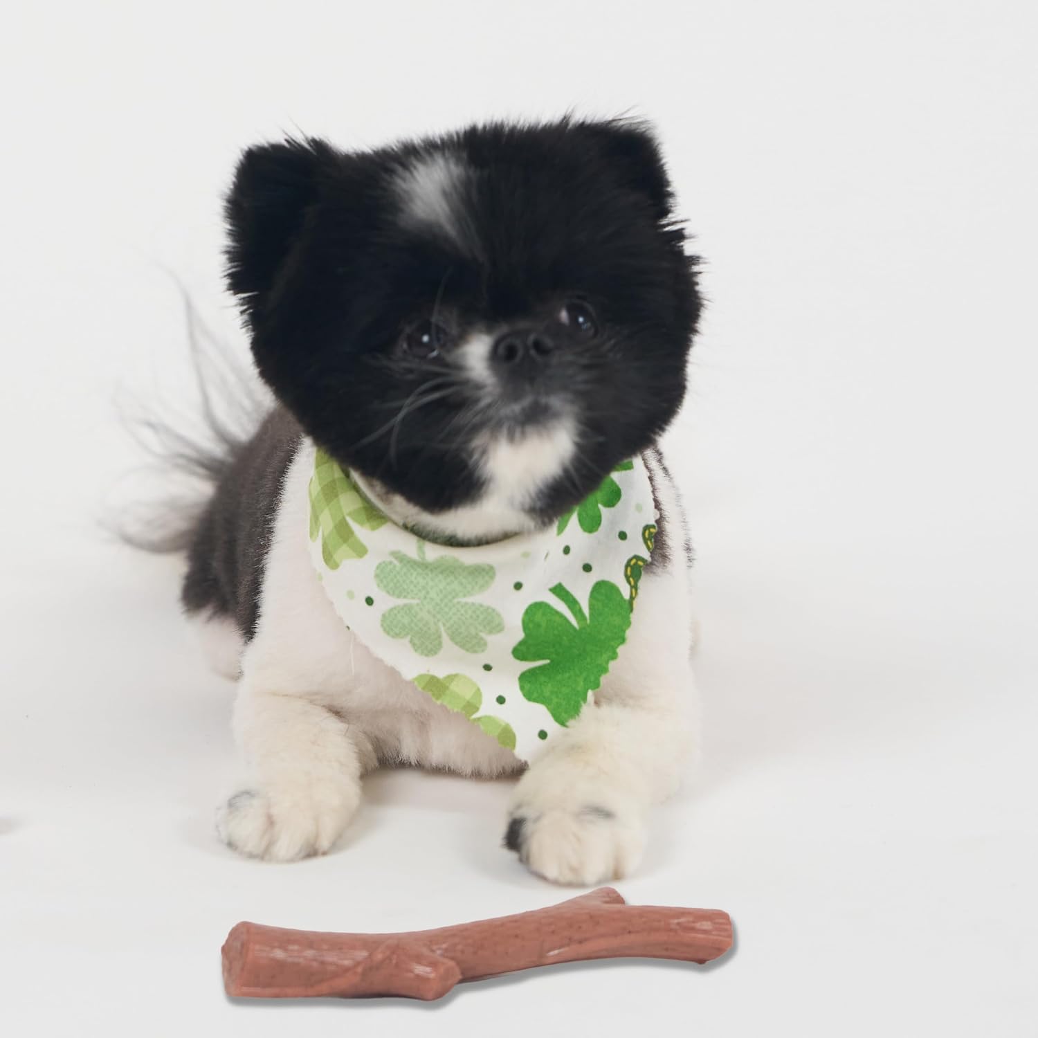 SPOT Bam-Bones Plus Branch -Bamboo Fiber & Nylon, Durable Long Lasting Dog Chew for Aggressive Chewers - Great Toy for Adult Dogs & Teething Puppies Under 60lbs, Non-Splintering, 5.75in, Beef Flavor - Image 12