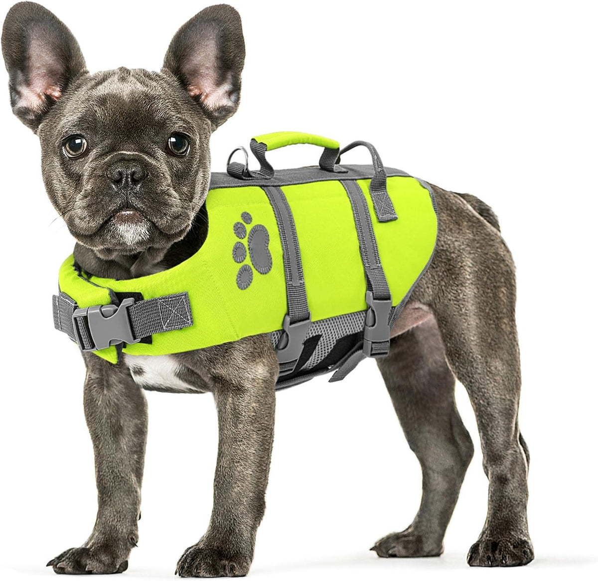 Queenmore Small Dog Life Jacket front view showing neon green color and safety handle.