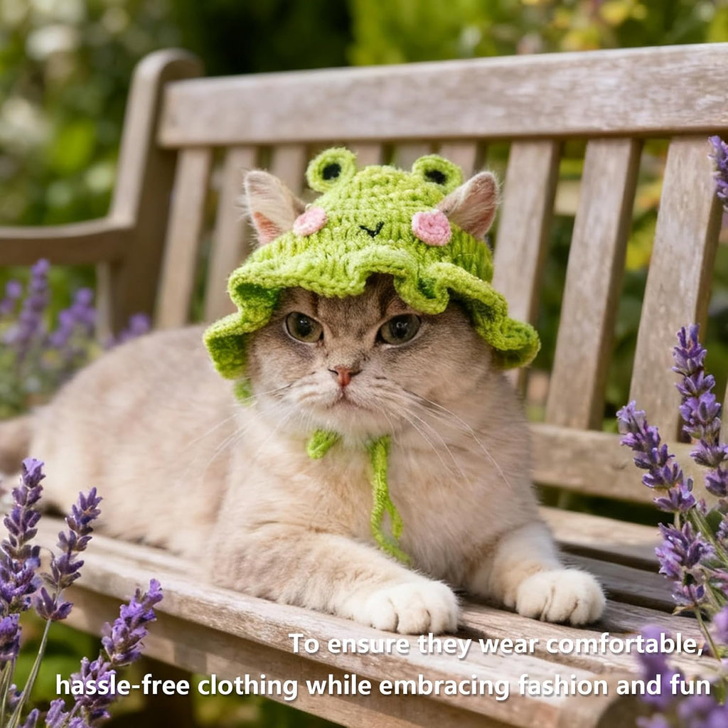 Close up of cartoon frog eyes on cat headwear