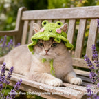 Close up of cartoon frog eyes on cat headwear