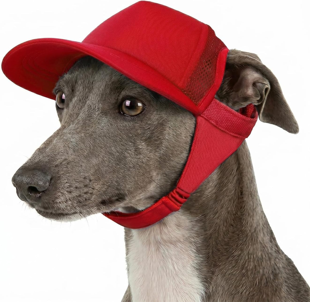 Tuff Pupper red dog baseball cap for large dogs