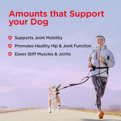 Nutri-Vet veterinary formulated hip and joint daily feeding directions