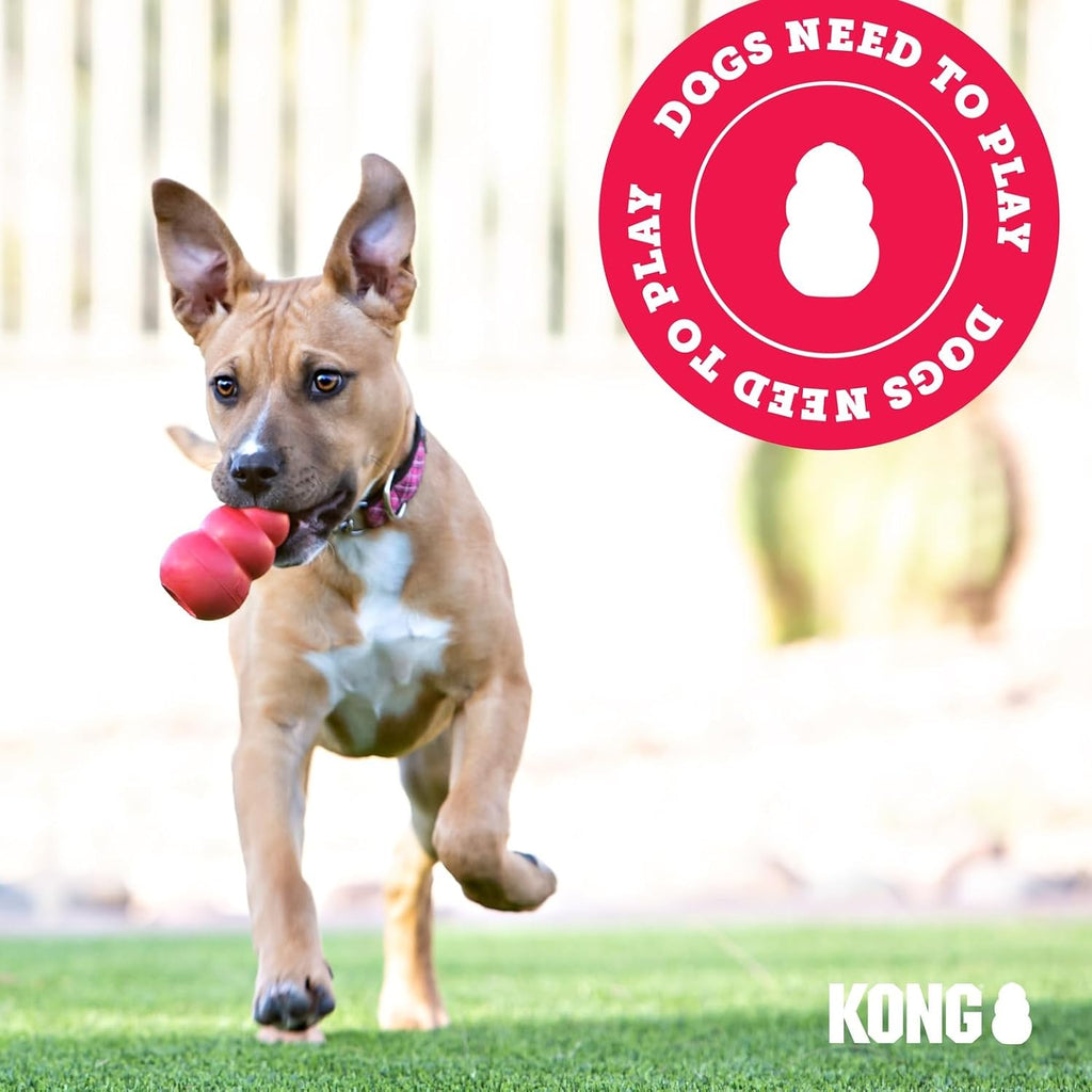 KONG Aqua large size water fetch toy overhead angle