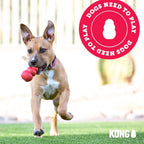 KONG Aqua large size water fetch toy overhead angle