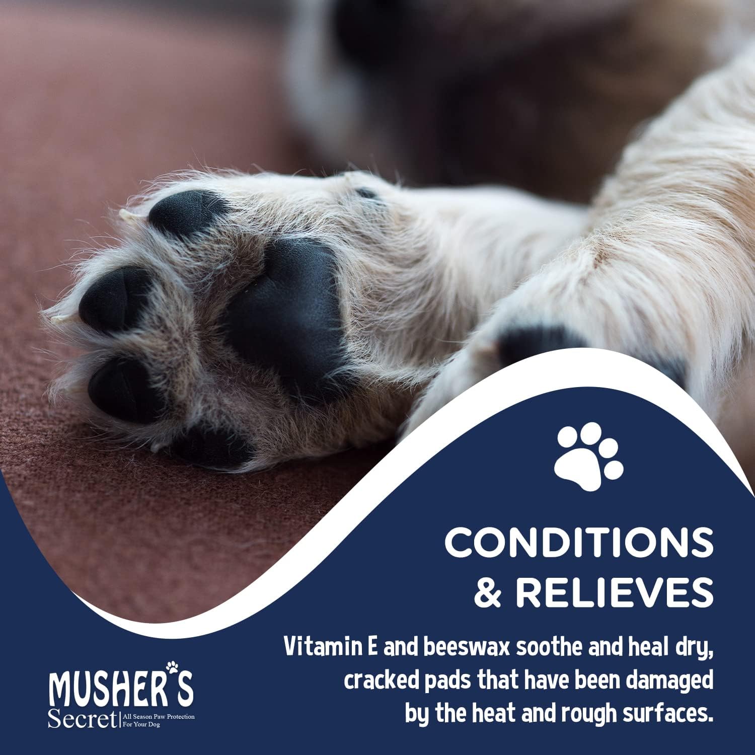 Dog walking safely on hot pavement with Musher's Secret protection