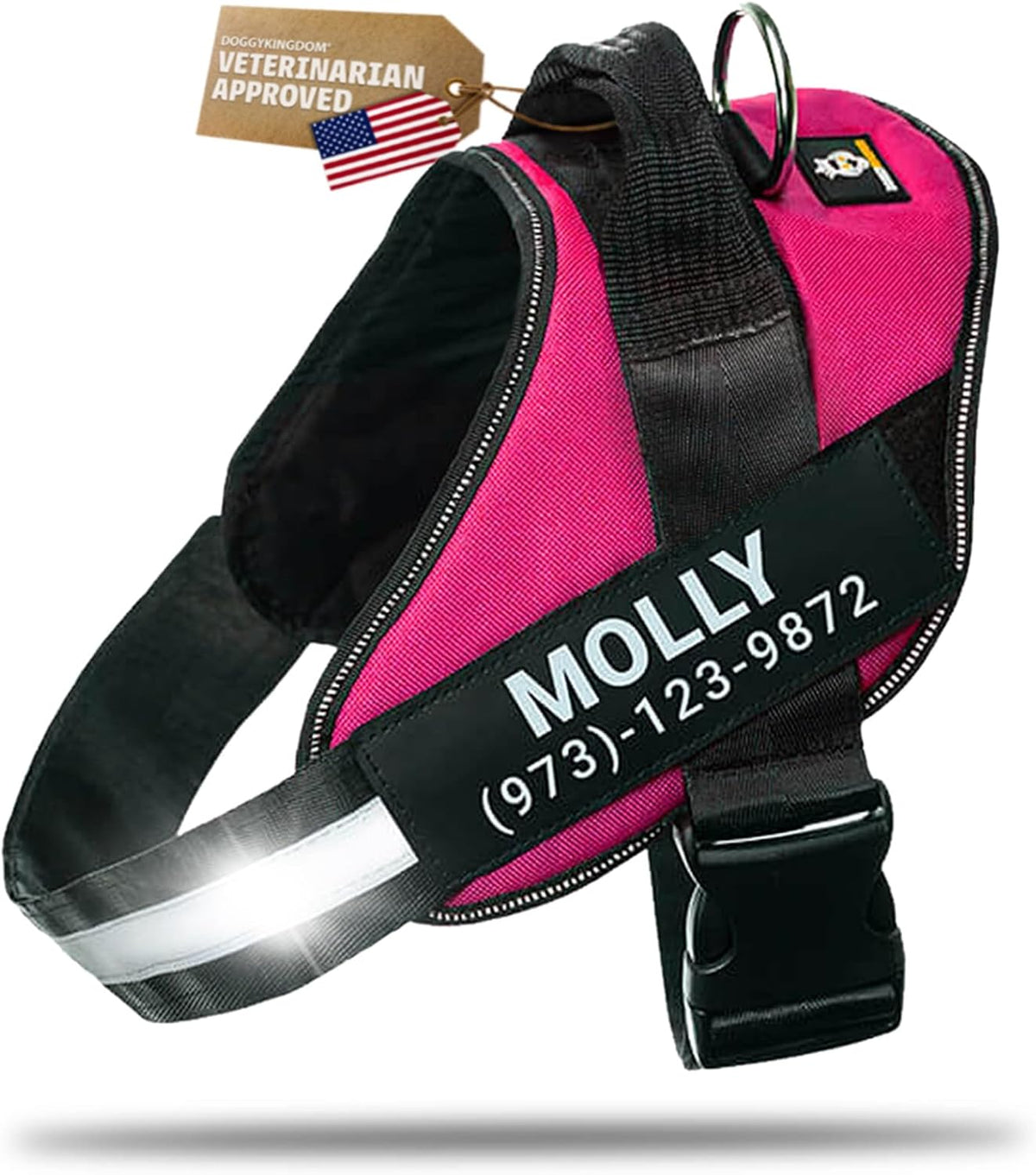 DOGGYKINGDOM Personalized Dog Harness with Custom Name Patches, Adjustable Reflective No Choke Dog Vest with Handle for Medium Sized Dog, Blue, M - Image 12