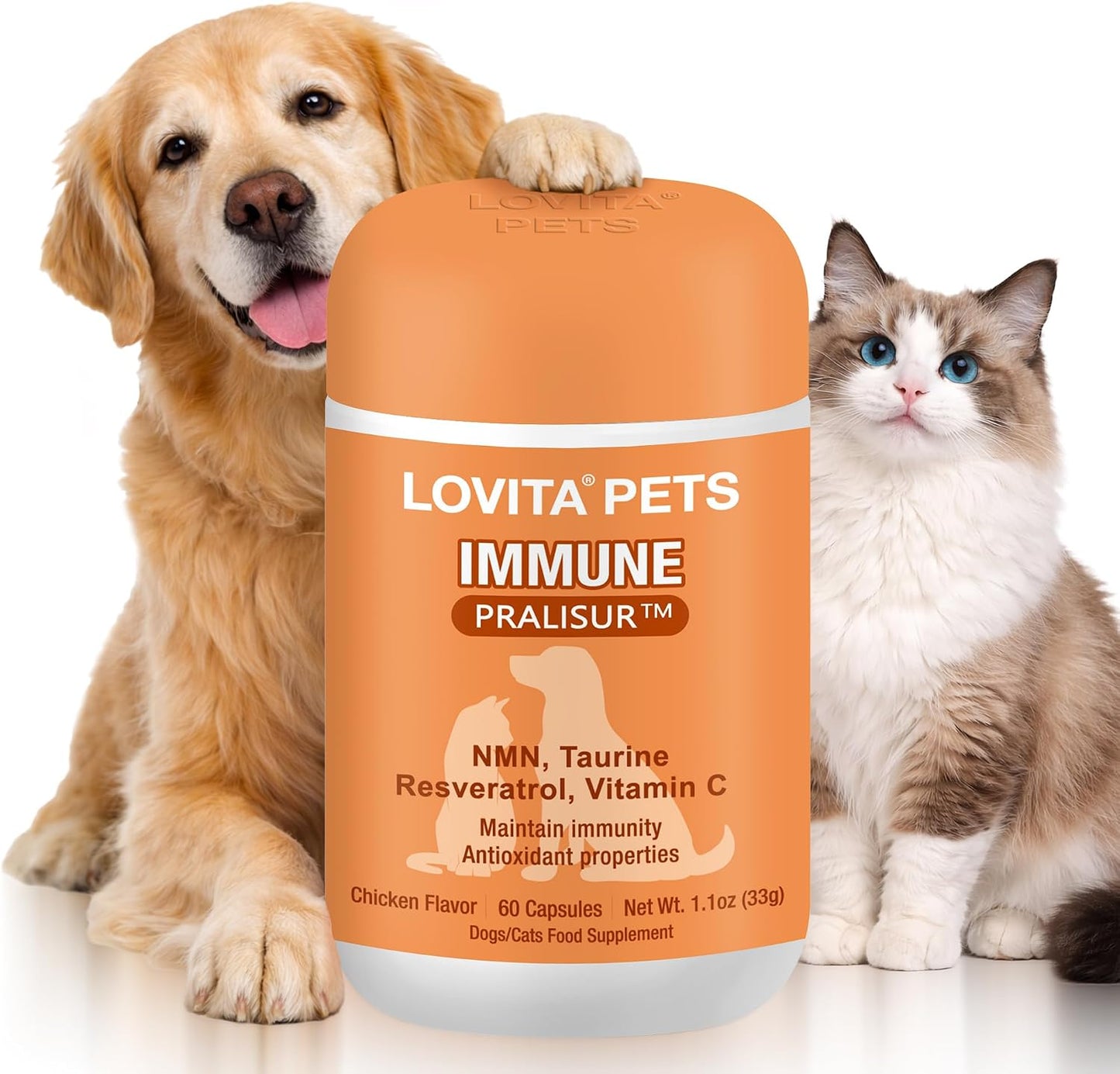 Lovita Pets Senior Wellness Capsules front of bottle packaging